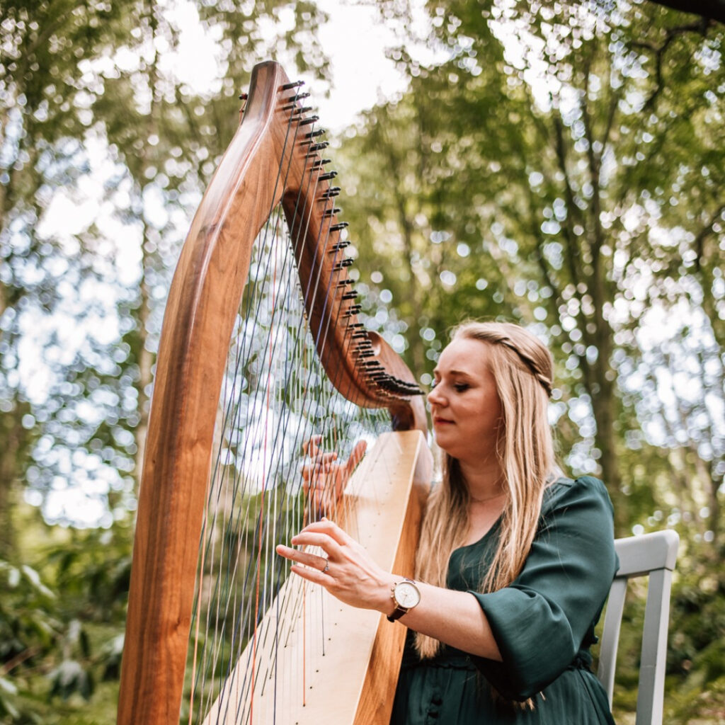 The Harp Lady — wedding music in Nottingham, nottinghamshire (photo 4 of 5)