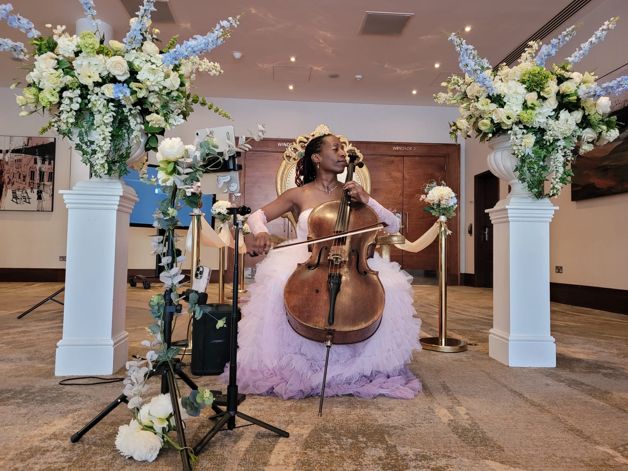 Jay Emme, Cellist — wedding music in Warwick (photo 4 of 8)